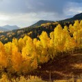 Осенний лес - Autumn forest