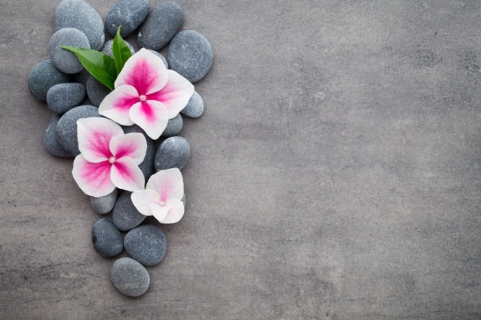 spa zen stones flower orchid 7609 700x466 Камни и цветы   Stones and flowers