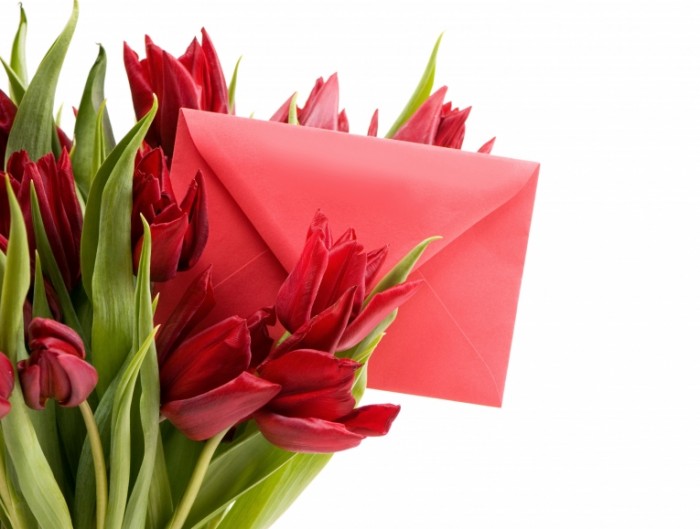 tulips letter spring red 700x529 Тюльпаны с письмом   Tulips with letter