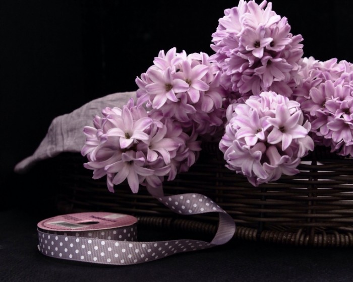 giacinty tesma korzinka 700x560 Корзина с цветами   Basket with flowers