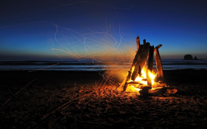 nastroenie makro priroda 700x437 Костер на природе   Campfire in nature