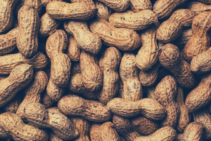 nuts peanuts arahis oreh 700x468 Арахис   Peanuts