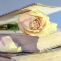 Книга и роза - Book and rose