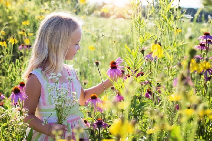 Devochka i tsvetyi Girl and flower 700x465 Девочка и цветы   Girl and flower