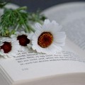 Книга и цветы - Book and flowers