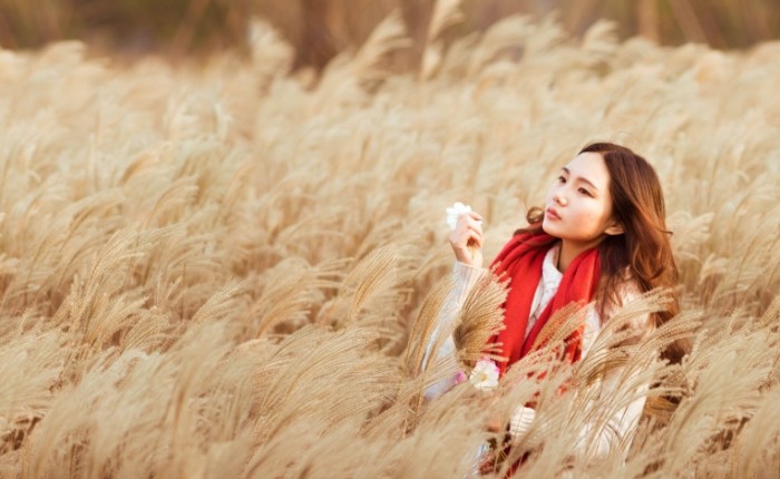 Devushka v pole The girl in the field 700x430 Девушка в поле   The girl in the field