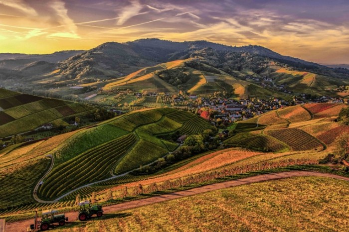  Поля в горах   Fields in the mountains