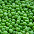 Зеленый горошек - Green pea