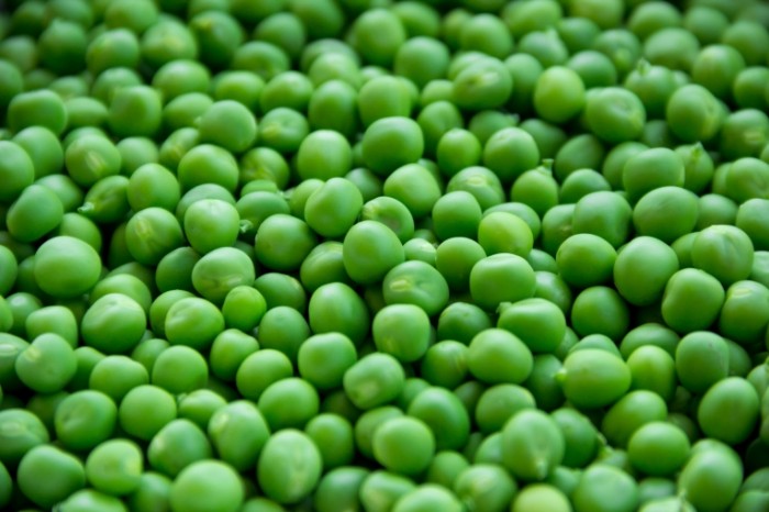 Zelenyiy goroshek Green pea 4200  2800 700x466 Зеленый горошек   Green pea