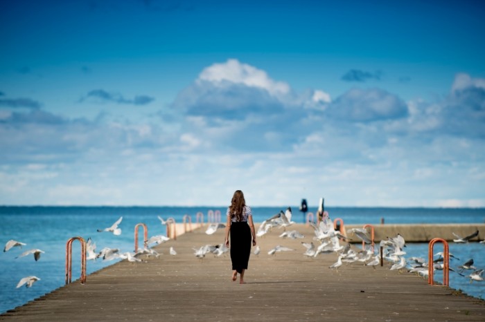 CHayki pirs devushka Seagulls pier girl 5216  3482 700x466 Чайки, пирс, девушка   Seagulls, pier, girl