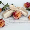 Пуанты, розы, ноты - Pointe shoes, roses, notes