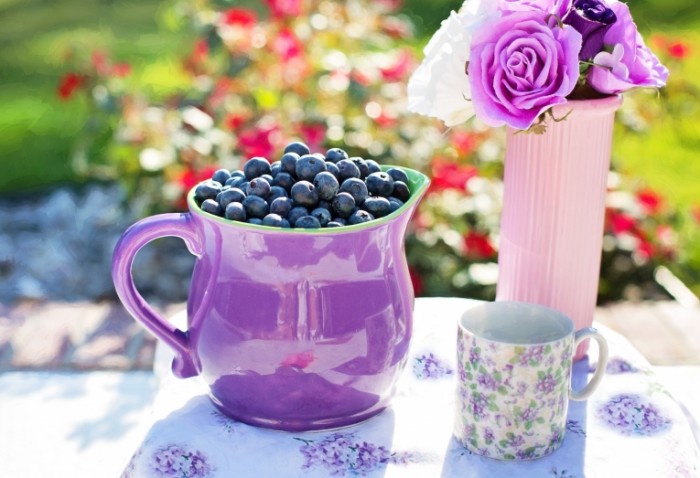 Kuvshin s chernikoy v letnem sadu Jug with blueberries in the summer garden 5115  3503 700x478 Кувшин с черникой в летнем саду   Jug with blueberries in the summer garden