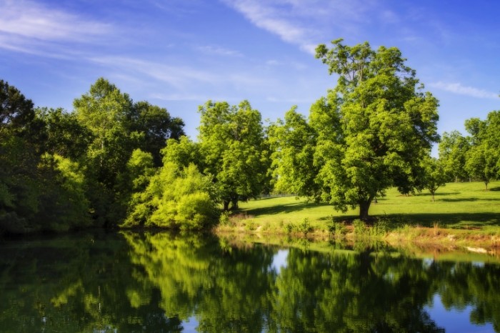 Park ozero leto peyzazh Park lake summer landscape 5184  3456 700x466 Парк, озеро, лето, пейзаж   Park, lake, summer, landscape