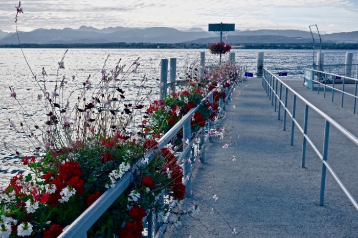 Pirs tsvetyi naberezhnaya ozero Pier flowers quay lake 5472  3648 700x466 Пирс, цветы, набережная, озеро   Pier, flowers, quay, lake