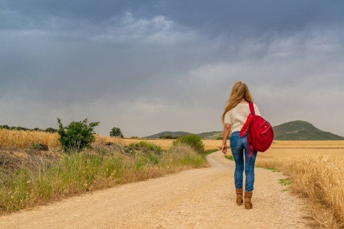 Puteshestvie avtostop devushka v pole Travel hitchhiking girl in the field 7360  4912 700x466 Путешествие, автостоп, девушка в поле   Travel, hitchhiking, girl in the field