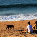 Пара на пляже с собакой - Couple on the beach with a dog