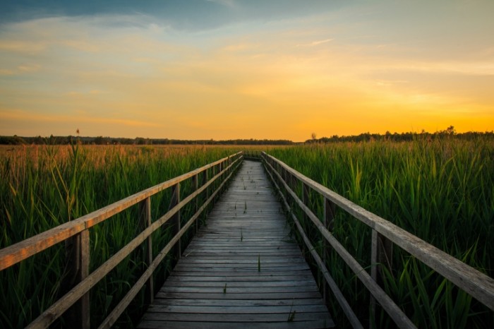 Закат, пирс, тростник, поле - Sunset, pier, cane, field