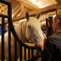 Стойло, загон, конюшня, девушка с лошадью - Stall, corral, stables, a girl with a horse