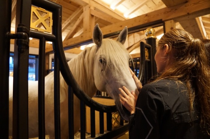 Stoylo zagon konyushnya devushka s loshadyu Stall corral stables a girl with a horse 6000  4000 700x466 Стойло, загон, конюшня, девушка с лошадью   Stall, corral, stables, a girl with a horse