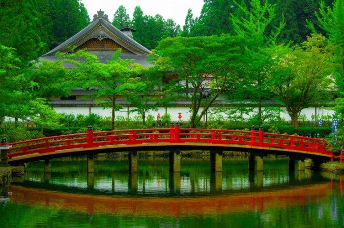  Красный мост в японском саду   Red Bridge in Japanese Garden