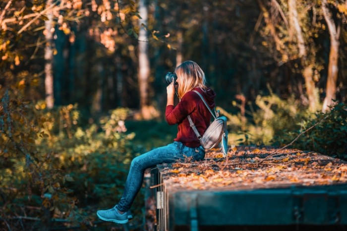 Осенний лес, фотограф, девушка с фотоаппаратом - Autumn forest, photographer, girl with a camera