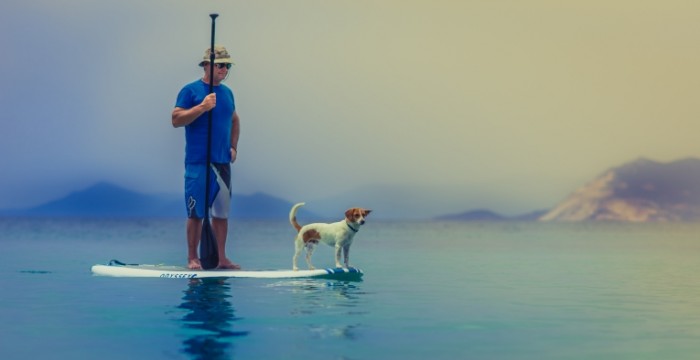 CHelovek na doske dlya serfinga s sobakoy i veslom Man on a surfboard with a dog and a paddle 6000  3094 700x360 Человек на доске для серфинга с собакой и веслом   Man on a surfboard with a dog and a paddle