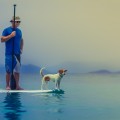 Человек на доске для серфинга с веслом и собакой - Man on a surfboard with a paddle and a dog